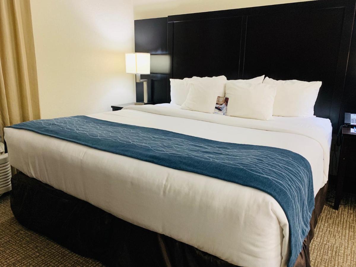 Comfort Inn & Suites Atlanta-Smyrna Luaran gambar